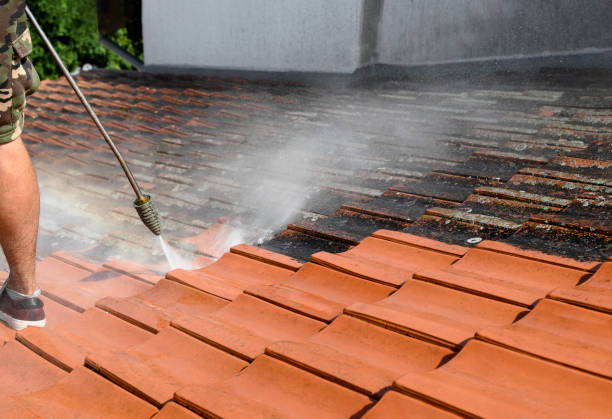 Best Sidewalk Pressure Washing  in Danville, AR