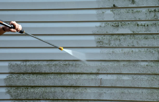 Best Residential Pressure Washing Services  in Danville, AR