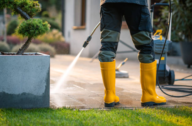Best Pressure Washing Driveway  in Danville, AR